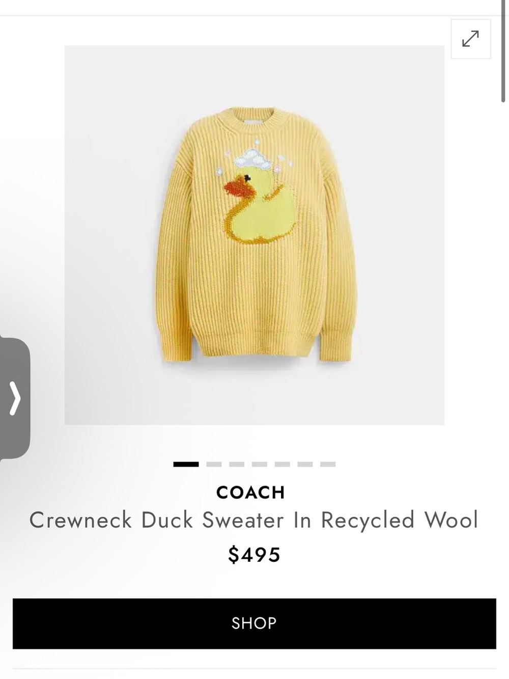 NWT Coach Crewneck Duck Sweater in Recycled Wool – Size Small – MSRP $495 - Picture 5 of 5